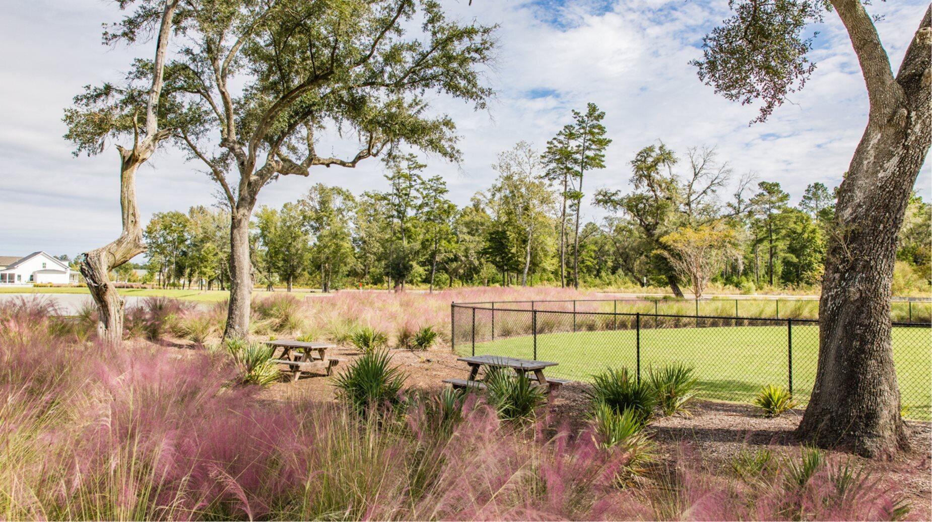 114 Moscato Lane Ridgeville, SC 29472 - Photo 12 of 18 dog park