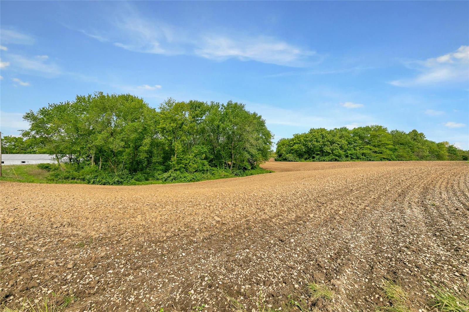 2926 Maus Road Fults, IL 62244 - Photo 44 of 57