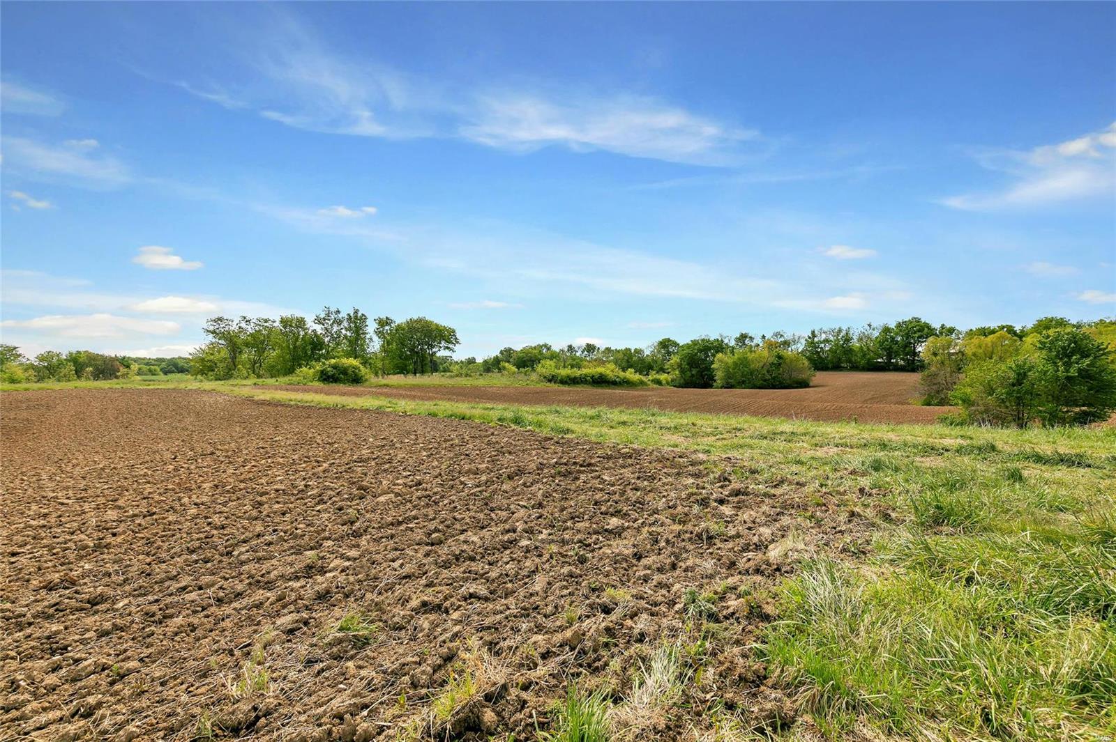 2926 Maus Road Fults, IL 62244 - Photo 45 of 57
