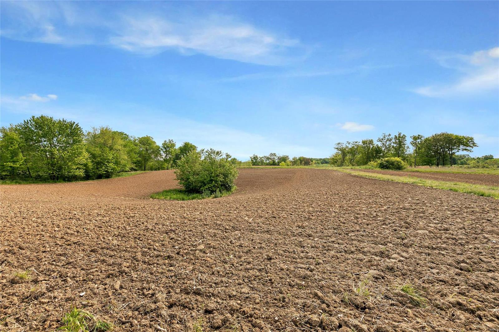 2926 Maus Road Fults, IL 62244 - Photo 47 of 57