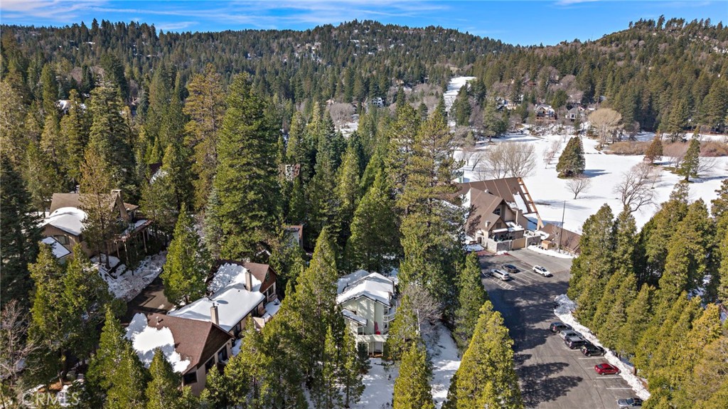 180 Grass Valley Road, Unit 20 Lake Arrowhead, CA 92352 - Photo 47 of 67