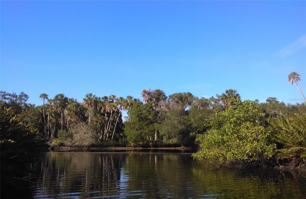 Upper Manatee River Road Bradenton, FL 34212 - Photo 19 of 21