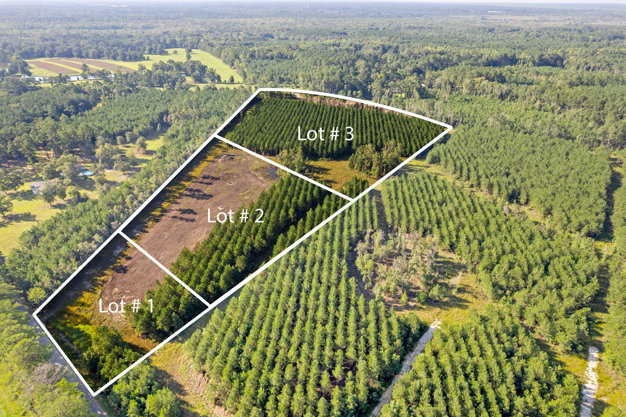 4 Rudd Road Ridgeville, SC 29472 - Photo 2 of 12 2-web-or-mls-DJI_0036 2