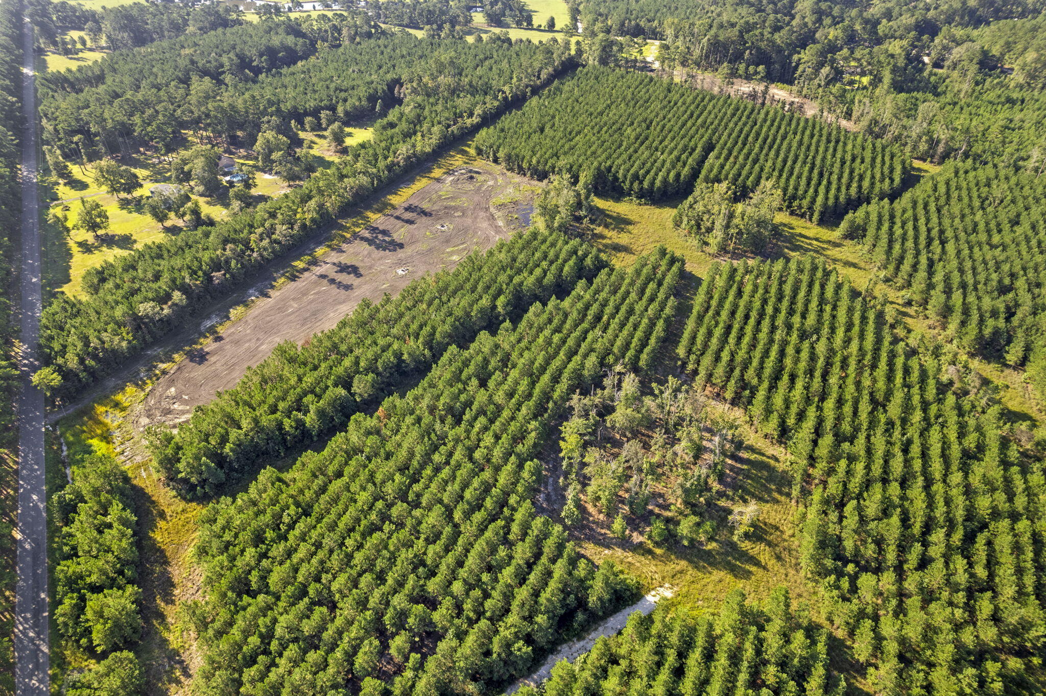 4 Rudd Road Ridgeville, SC 29472 - Photo 3 of 12 3-web-or-mls-DJI_0006