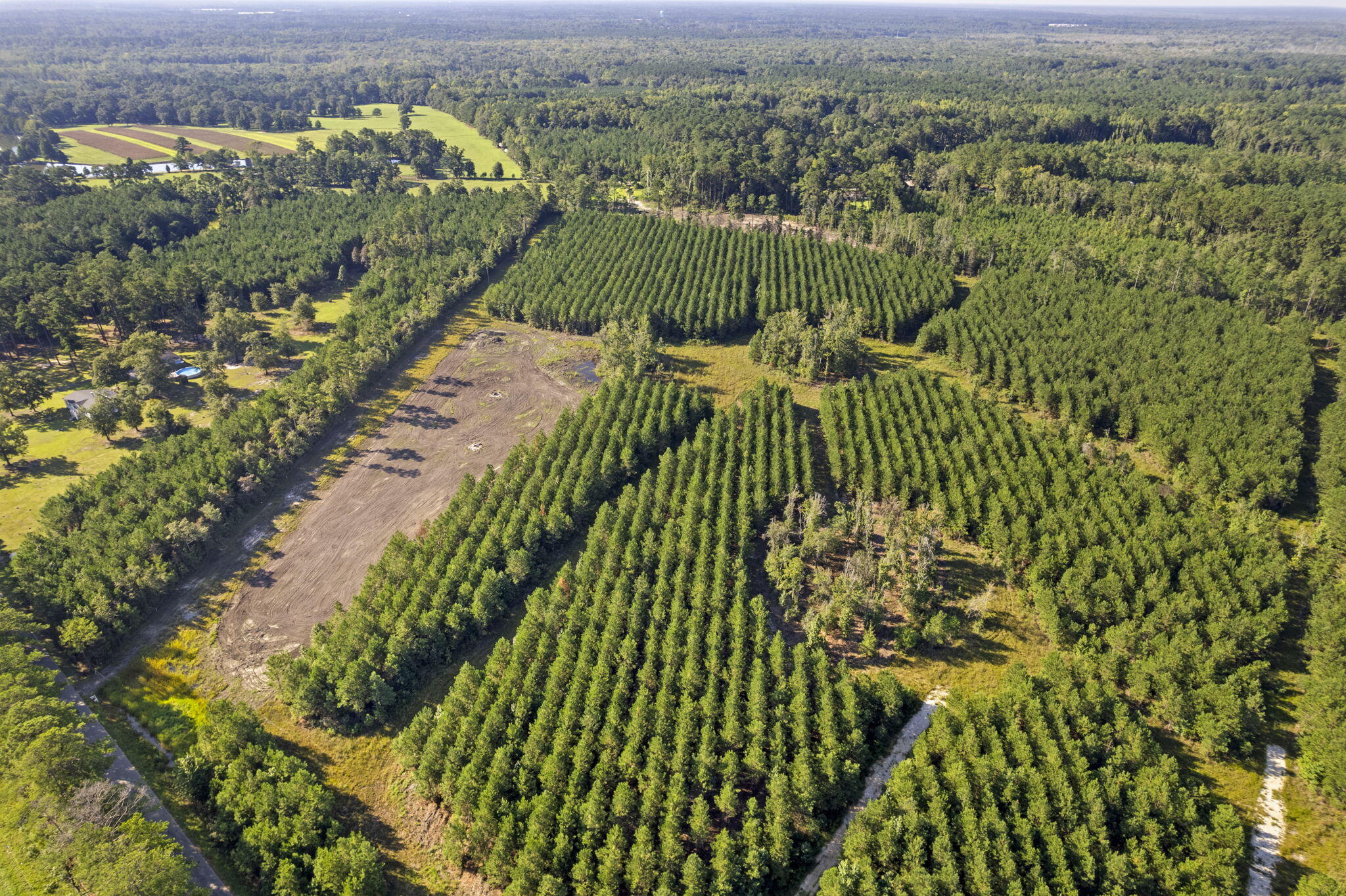 4 Rudd Road Ridgeville, SC 29472 - Photo 4 of 12 4-web-or-mls-DJI_0036