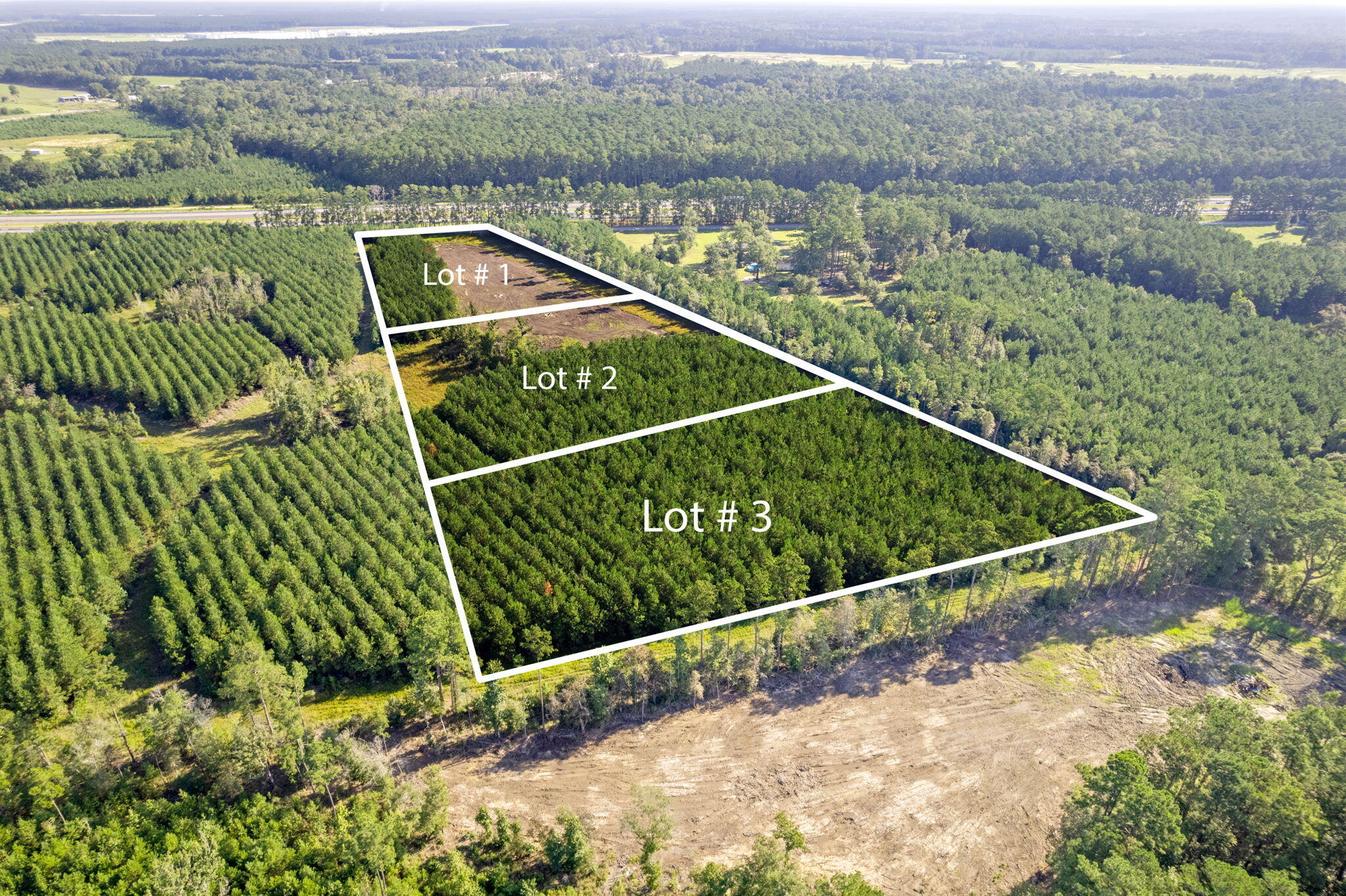 4 Rudd Road Ridgeville, SC 29472 - Photo 5 of 12 5-web-or-mls-DJI_0046 2