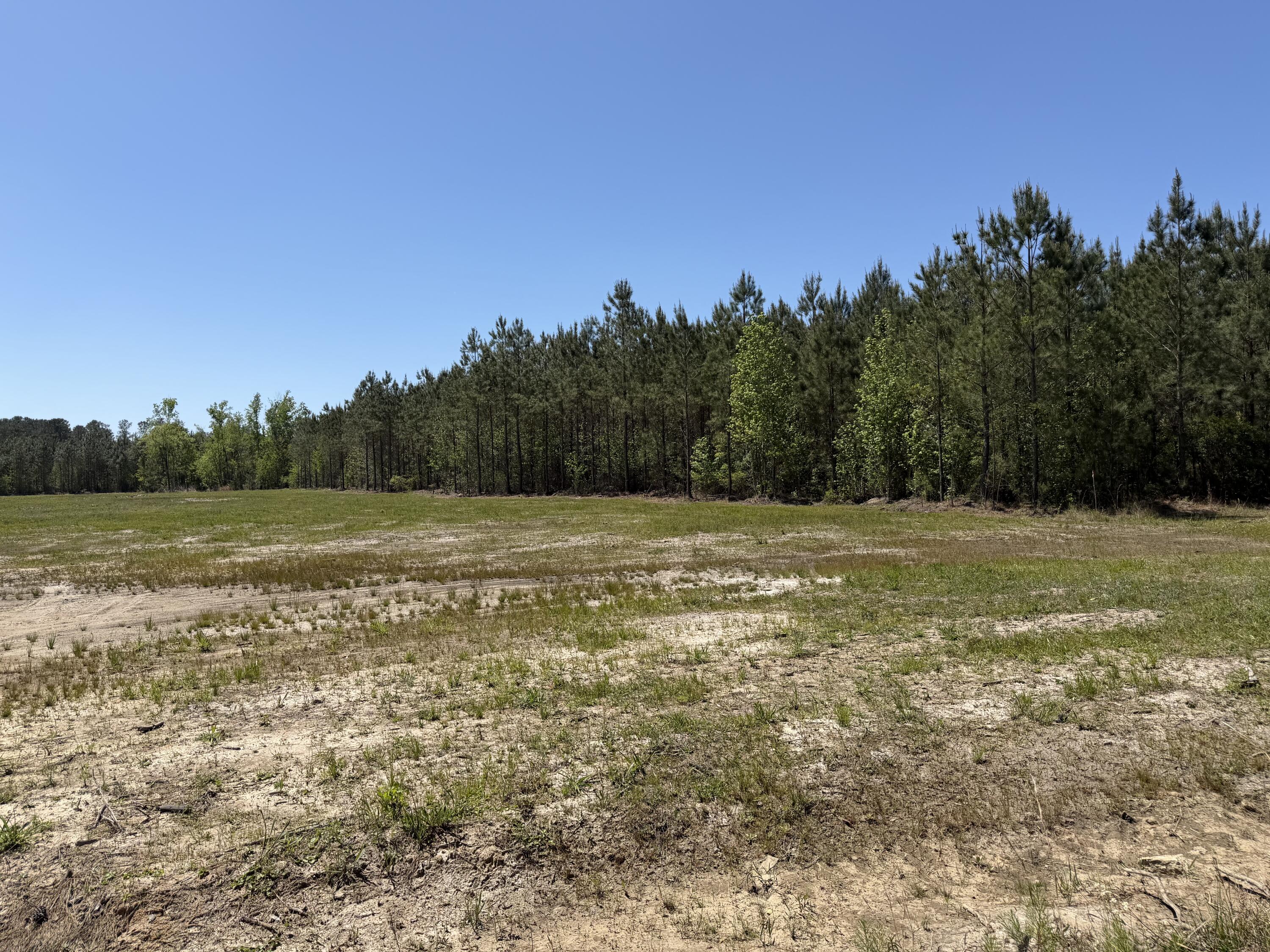 4 Rudd Road Ridgeville, SC 29472 - Photo 5 of 14 IMG_4178