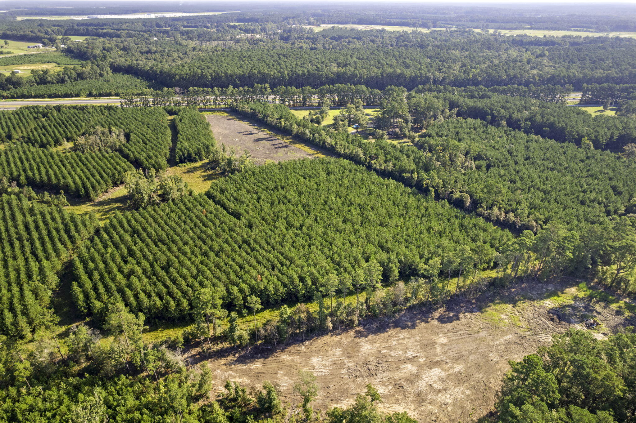 4 Rudd Road Ridgeville, SC 29472 - Photo 8 of 12 8-web-or-mls-DJI_0046