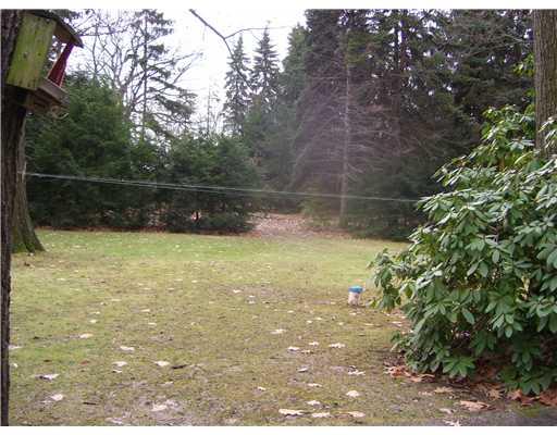 1864 Geiger Road Friedens, PA 15541 - Photo 15 of 17 Yard/Garden.