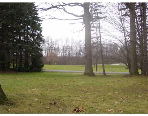 1864 Geiger Road Friedens, PA 15541 - Photo 16 of 17 Yard/Garden.