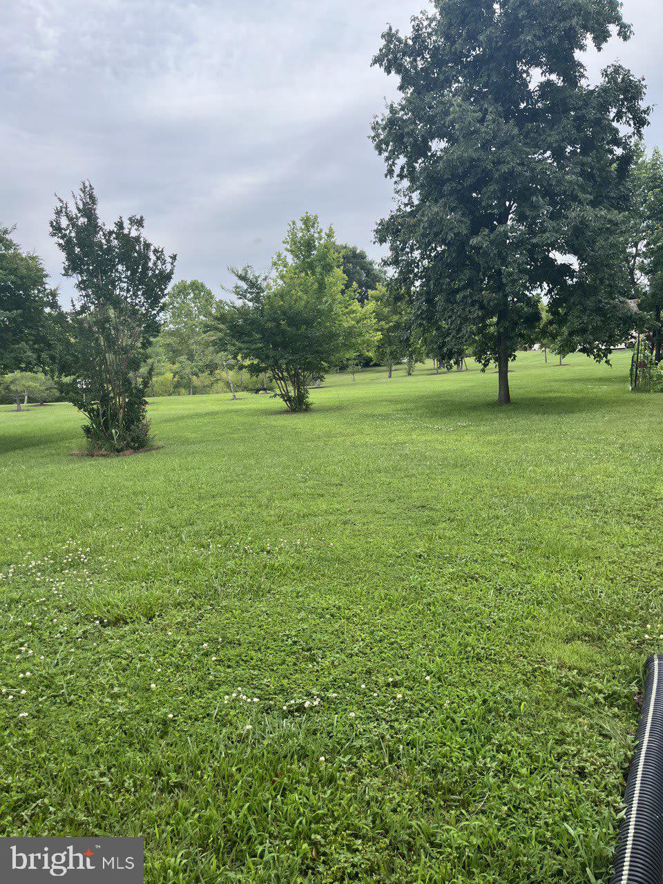 1546 Shellford Lane Accokeek, MD 20607 - Photo 9 of 83