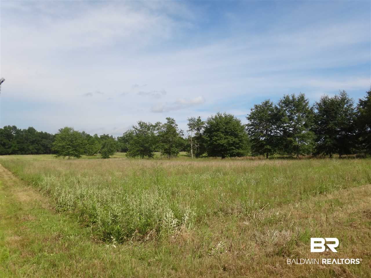 19146 3 Rivers Road Seminole, AL 36574 - Photo 1 of 8