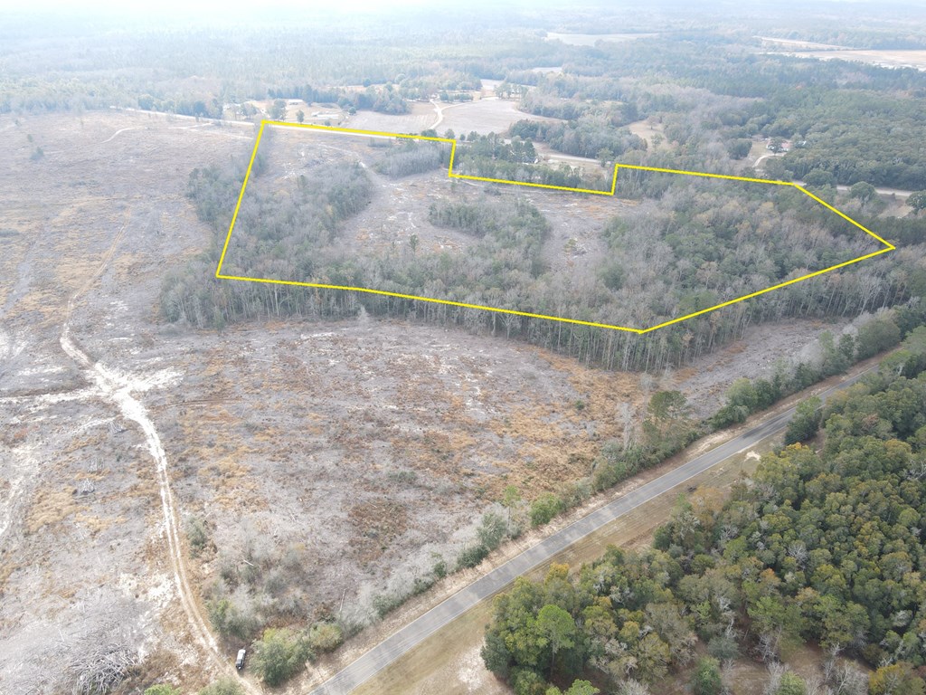 87 Highway 87 Samson, AL 36477 - Photo 5 of 47