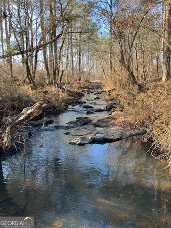 a view of a yard with plants
