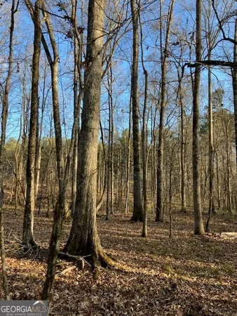 a view of road with trees
