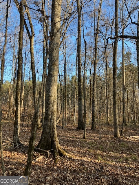 310 Philomath Woodville Road Rayle, GA 30660 - Photo 13 of 16 a view of a yard with plants