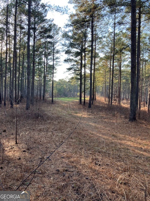 310 Philomath Woodville Road Rayle, GA 30660 - Photo 14 of 16 a view of a forest with trees in the background