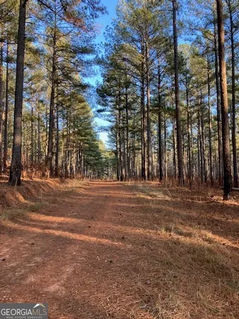 $6,525,000 | 310 Philomath Woodville Road, Rayle, GA 30660