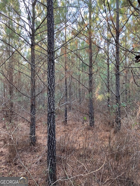 310 Philomath Woodville Road Rayle, GA 30660 - Photo 16 of 16 a view of forest