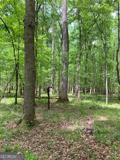 310 Philomath Woodville Road Rayle, GA 30660 - Photo 2 of 16 a big yard with lots of green space and trees