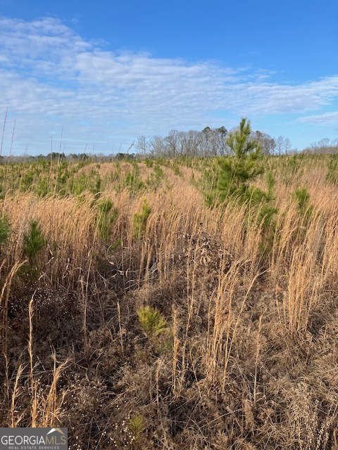 310 Philomath Woodville Road Rayle, GA 30660 - Photo 3 of 16