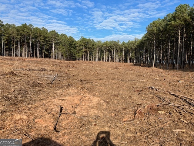 310 Philomath Woodville Road Rayle, GA 30660 - Photo 5 of 16 a view of large trees with a dry yard