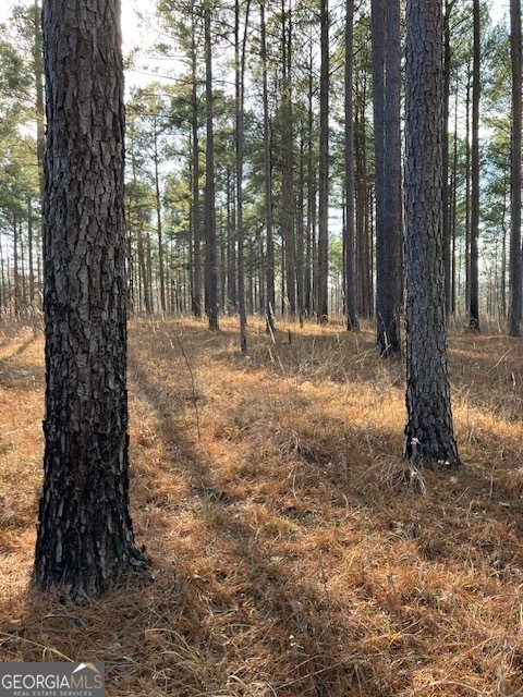 310 Philomath Woodville Road Rayle, GA 30660 - Photo 6 of 16 a view of a yard with trees