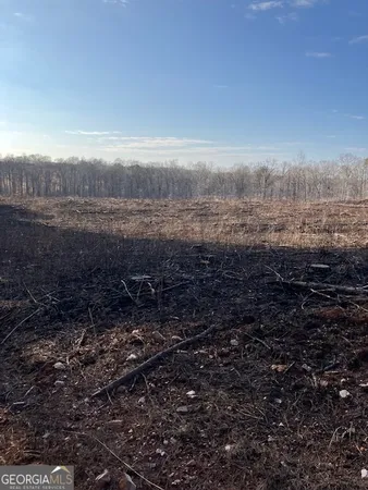 a view of a yard with wooden fence