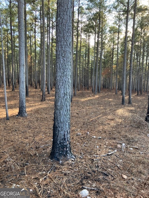 310 Philomath Woodville Road Rayle, GA 30660 - Photo 8 of 16 a fire hydrant in middle of the forest