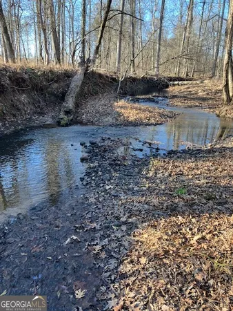 a view of a yard with water fountain