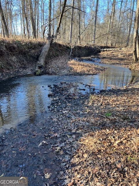 310 Philomath Woodville Road Rayle, GA 30660 - Photo 9 of 16 a view of a yard with wooden fence