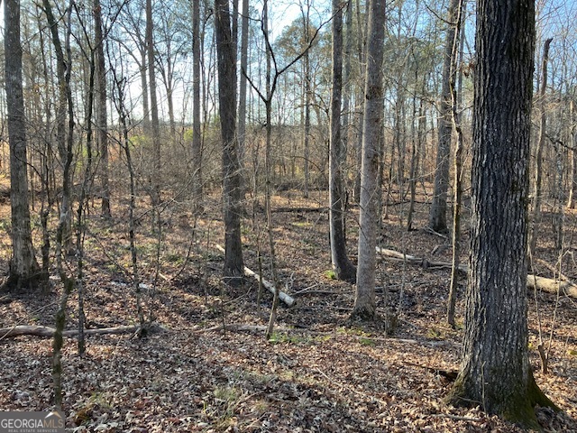 310 Philomath Woodville Road Rayle, GA 30660 - Photo 10 of 16 a view of a forest view