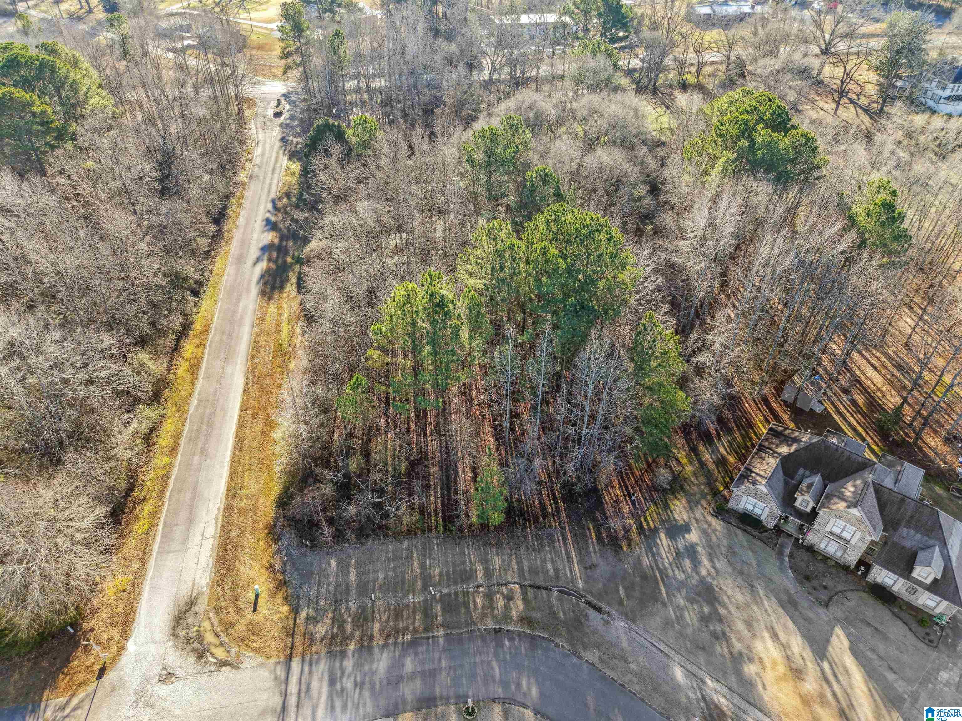 0 Branch Cove, Unit PHASE 2 Odenville, AL 35120 - Photo 8 of 32