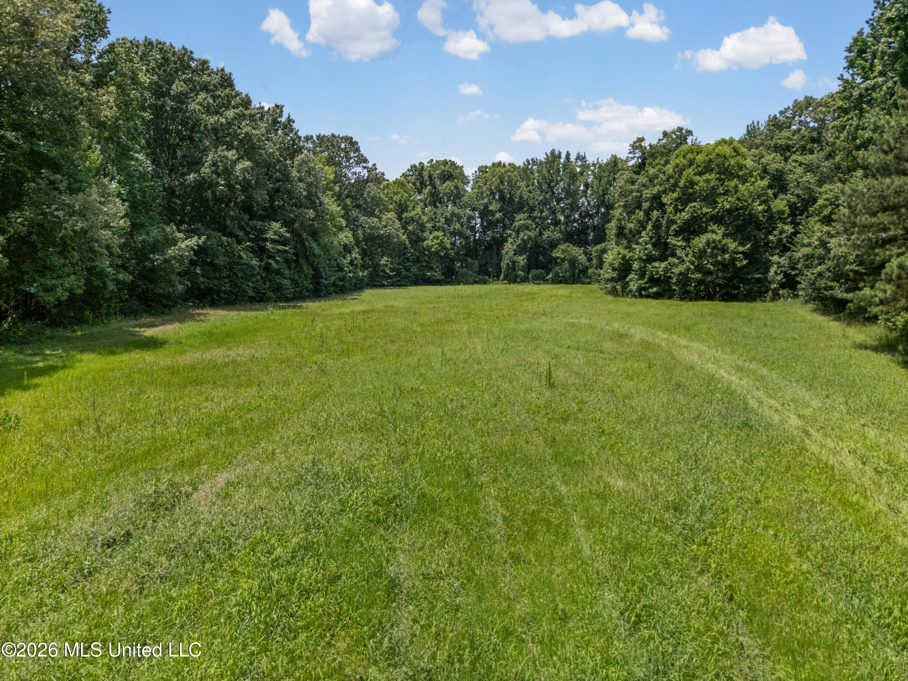 0 Freeman Drive Coldwater, MS 38618 - Photo 13 of 15 dji_20260701124711_0111_d_print
