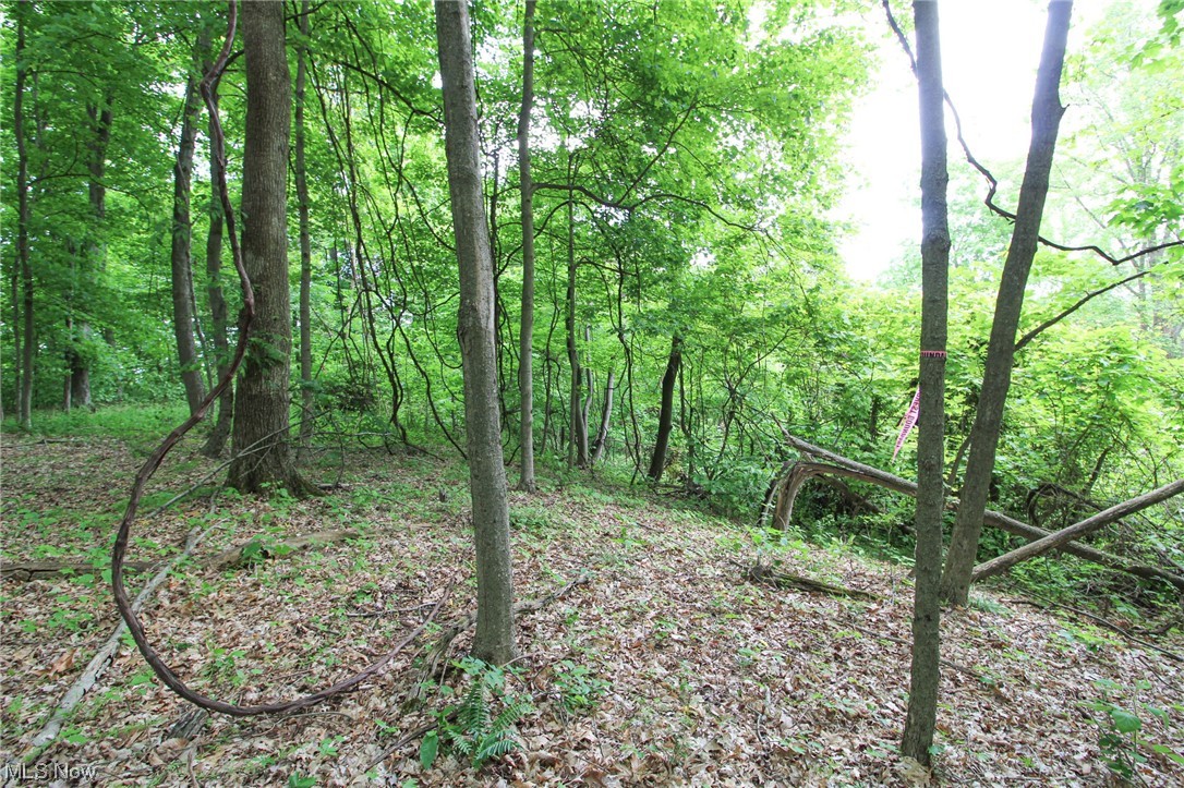 0 Mount Carmel Rdg Road St. Marys, WV 26170 - Photo 15 of 16