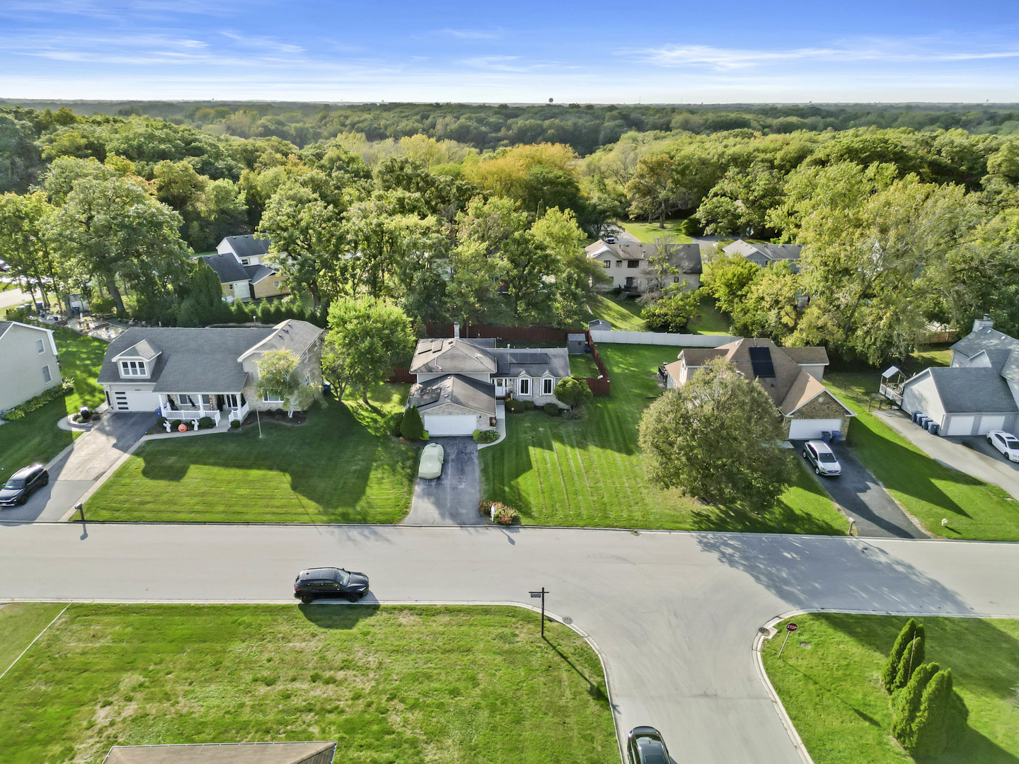 3686 Ronald Road Crete, IL 60417 - Photo 4 of 35 an aerial view of a house with a garden