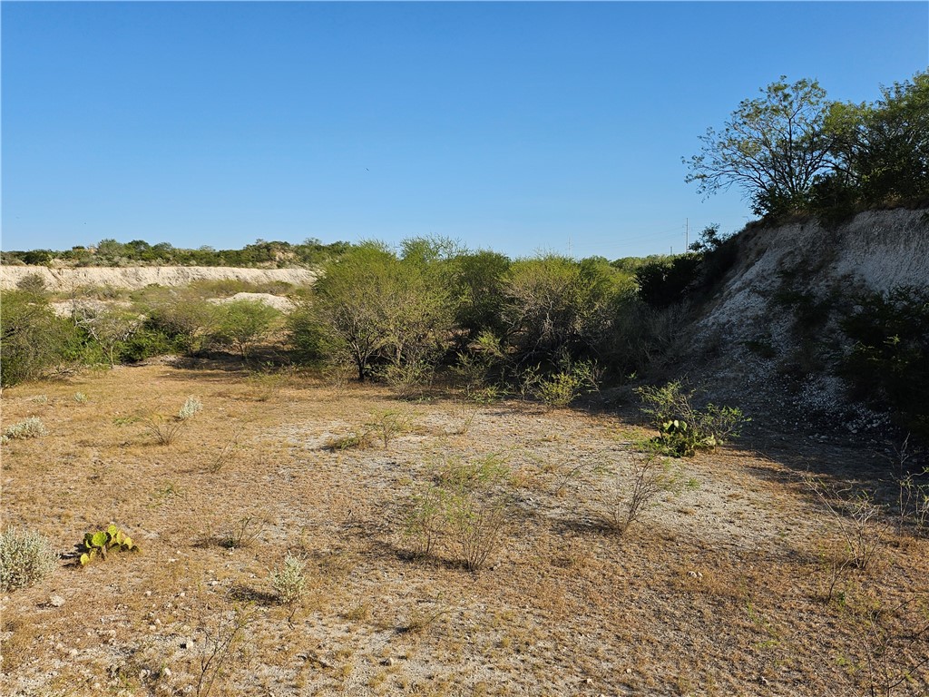 24024 441st Circle Mathis, TX 78368 - Photo 43 of 57 Gallery Image 43