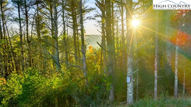 $29,900 | 19 Davis Acres Drive, West Jefferson, NC 28694