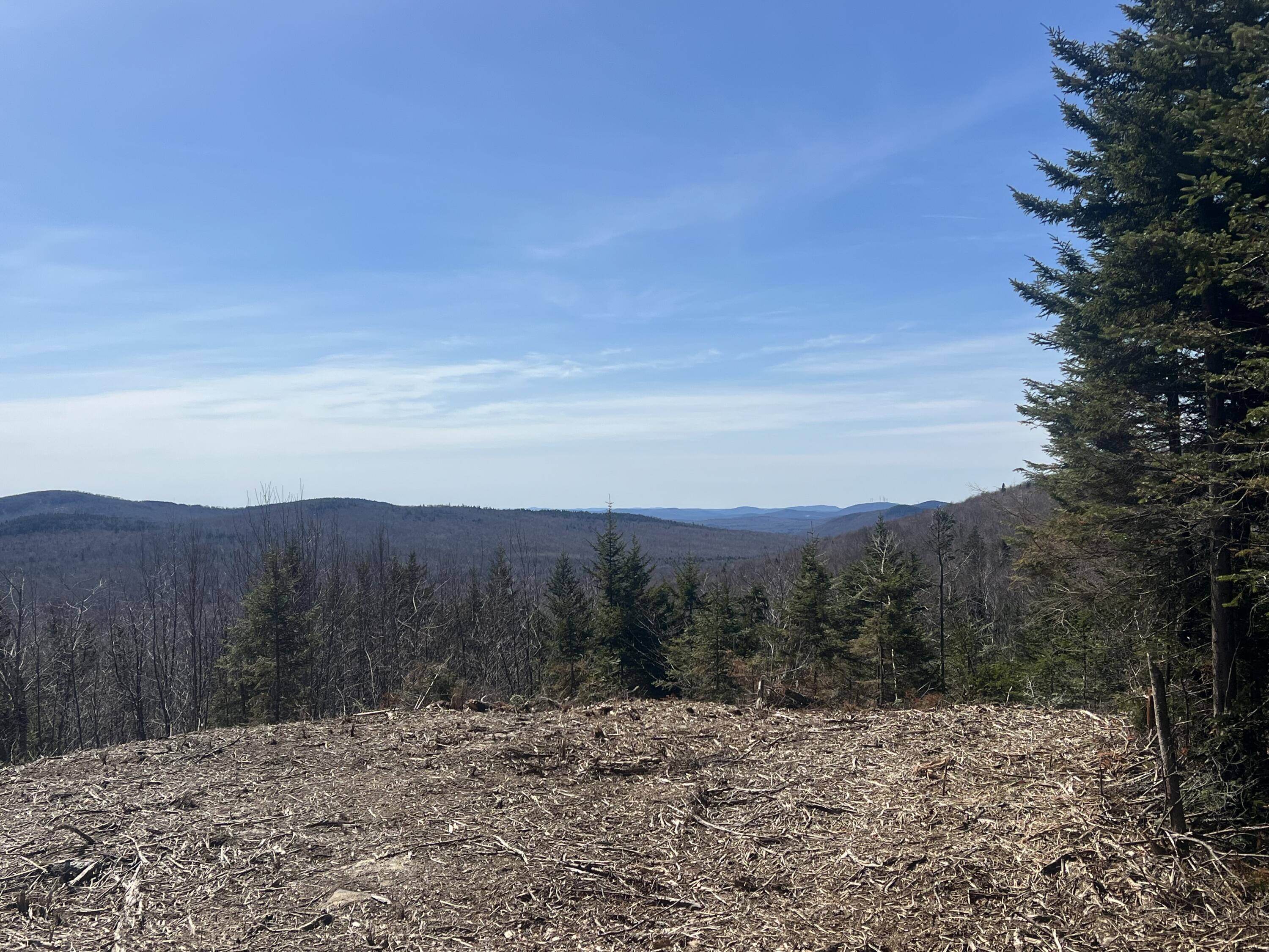 13 Moose Alley Road Wilton, ME 04294 - Photo 4 of 9