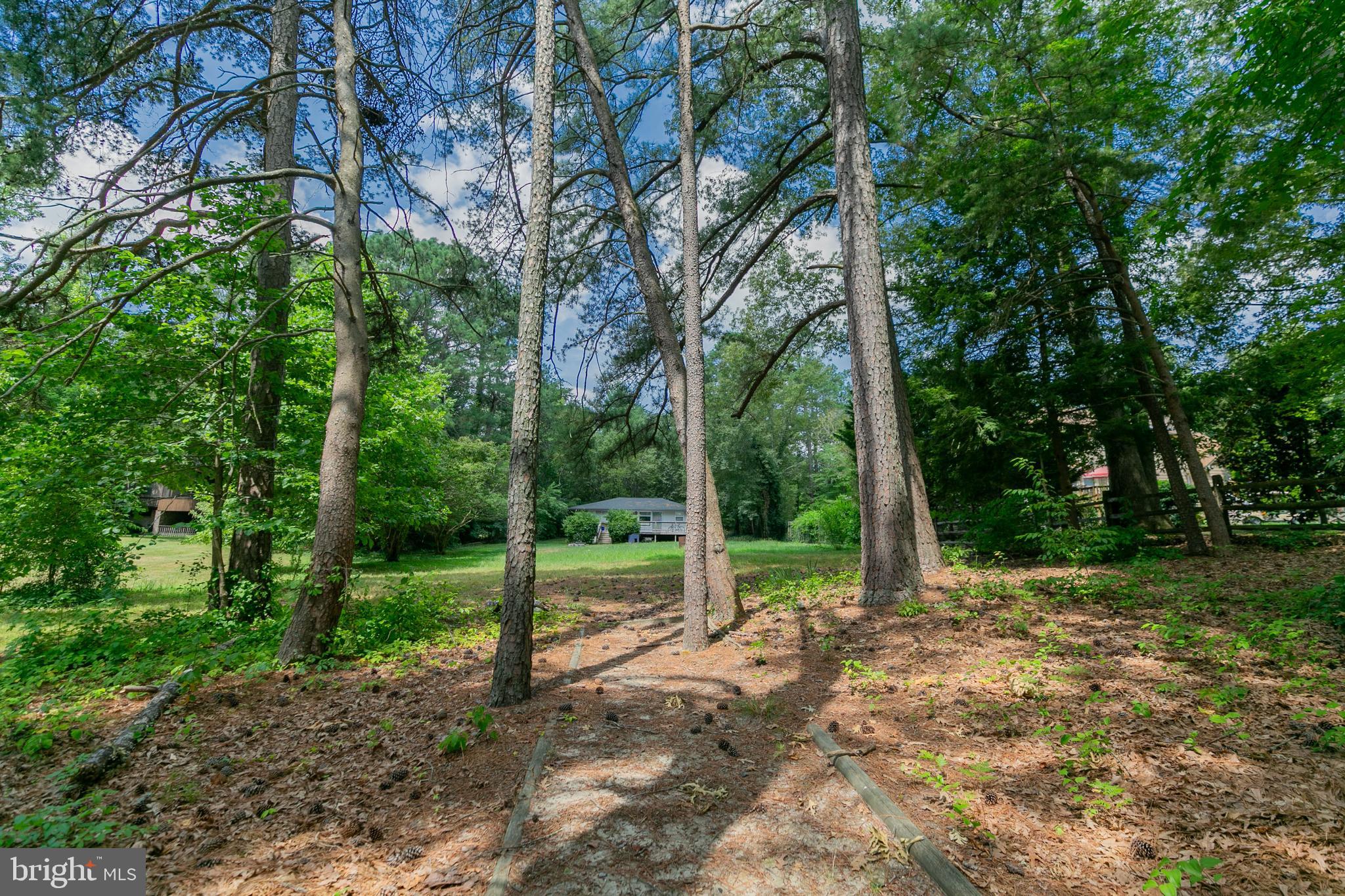 800 Lake Caroline Drive Ruther Glen, VA 22546 - Photo 4 of 29