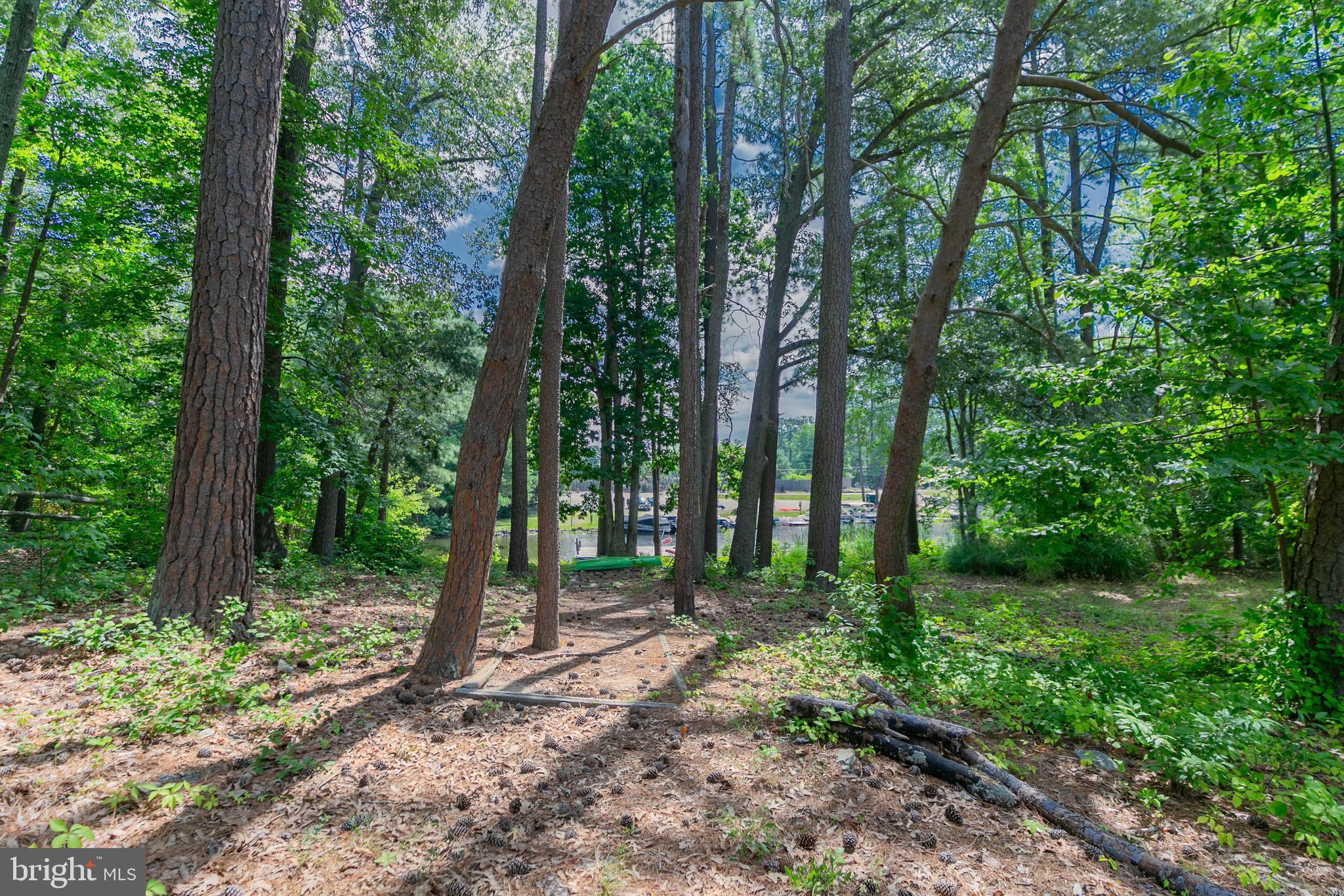 800 Lake Caroline Drive Ruther Glen, VA 22546 - Photo 6 of 29