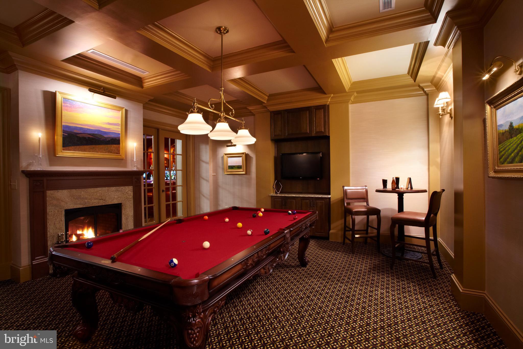 40174 Monroe Valley Place Aldie, VA 20105 - Photo 19 of 34 a living room with pool table and a fireplace