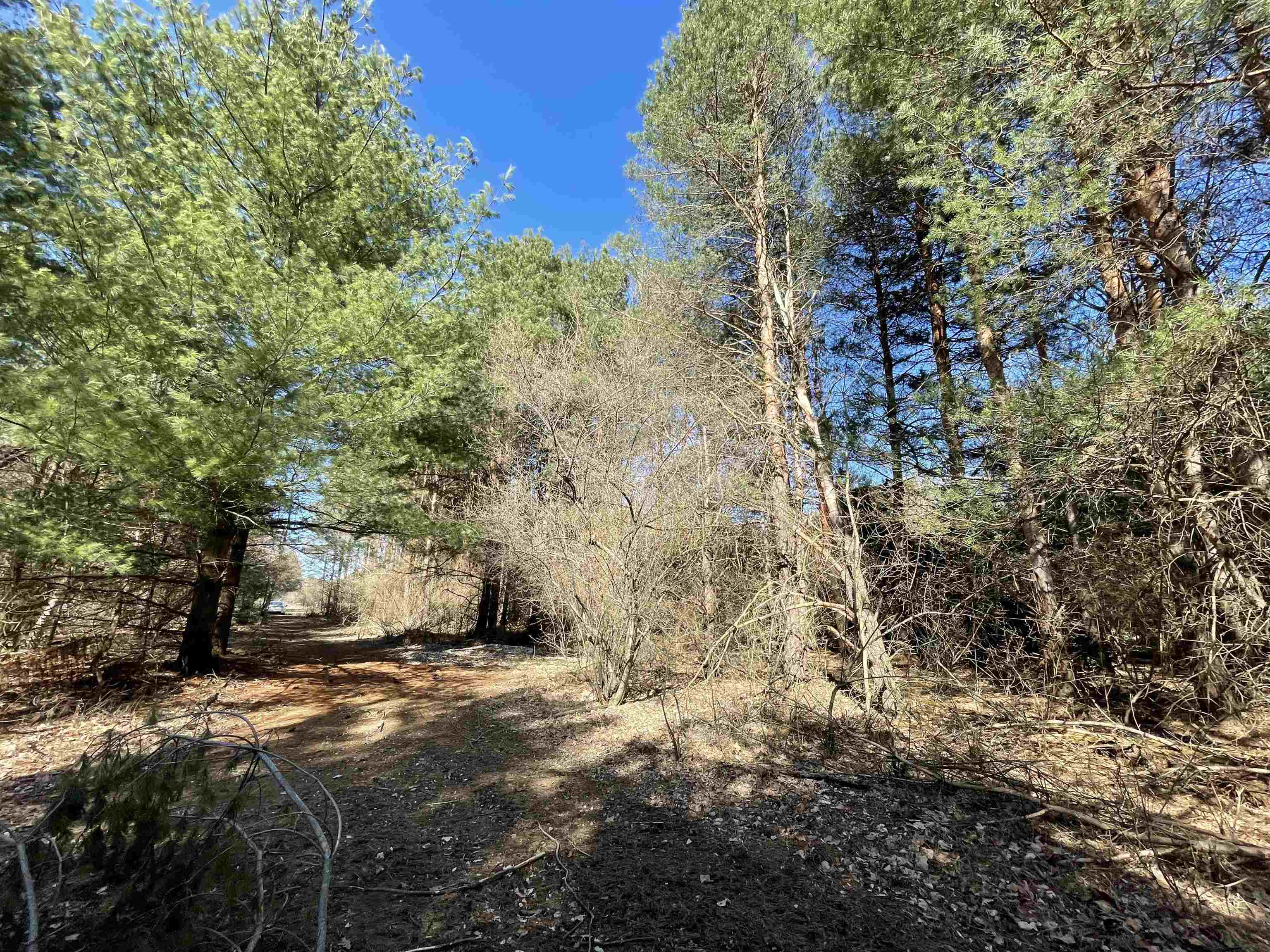Tbd South Tbd S Fenmore Road Merrill, MI 48637 - Photo 1 of 19