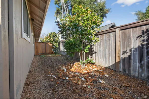 a view of a house with a tree