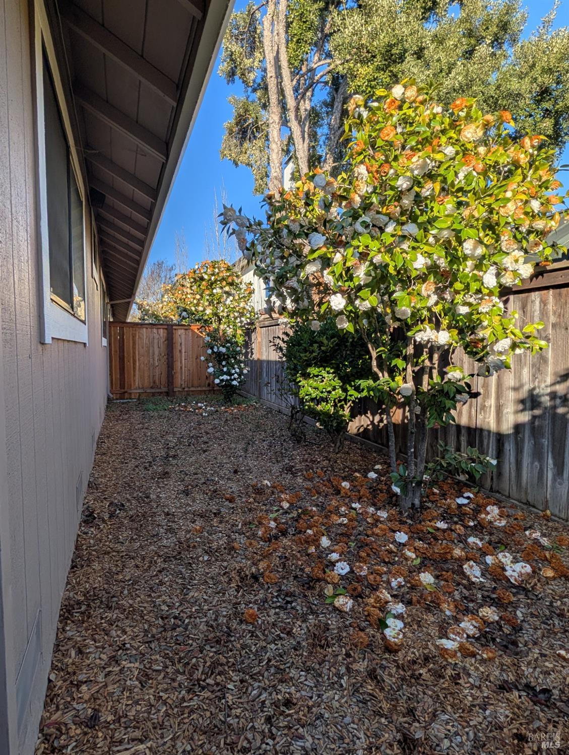 663 Spring Lane Sonoma, CA 95476 - Photo 9 of 11