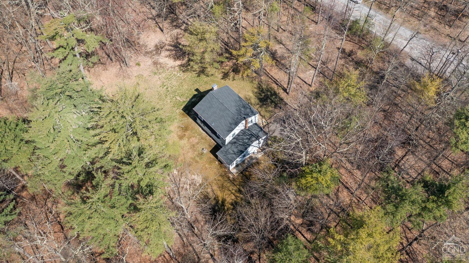 1235 Ira Vail Road Leeds, NY 12451 - Photo 24 of 35 a view of a forest with a tree