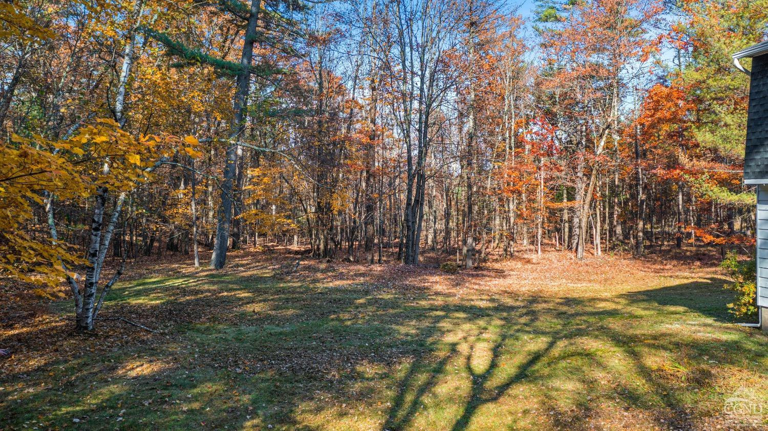 1235 Ira Vail Road Leeds, NY 12451 - Photo 31 of 35 a view of empty space with trees