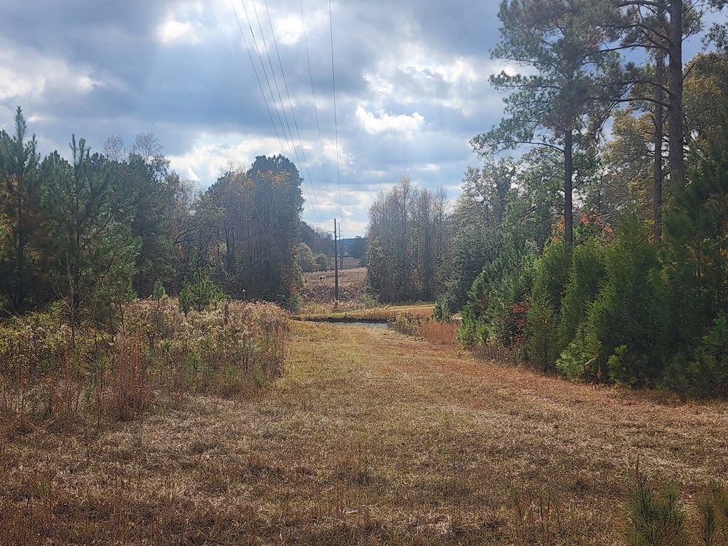 13962 Highway 95 Abbeville, AL 36310 - Photo 10 of 27