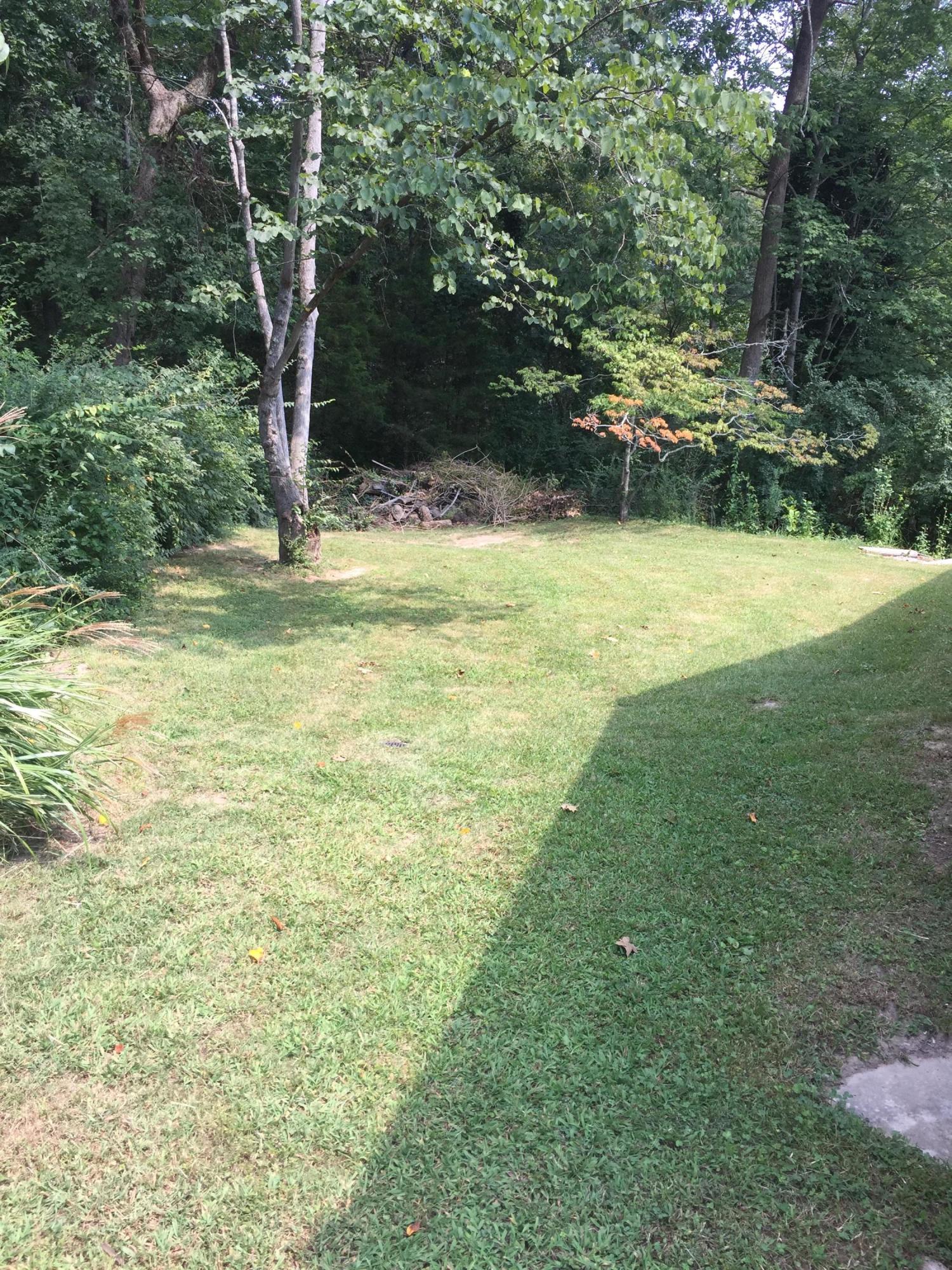 110 Decatur Road Oak Ridge, TN 37830 - Photo 19 of 27 IMG_6349
