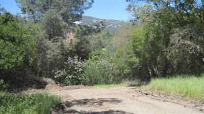 0 Burrough North Road Tollhouse, CA 93667 - Photo 11 of 16 Gallery Image 11